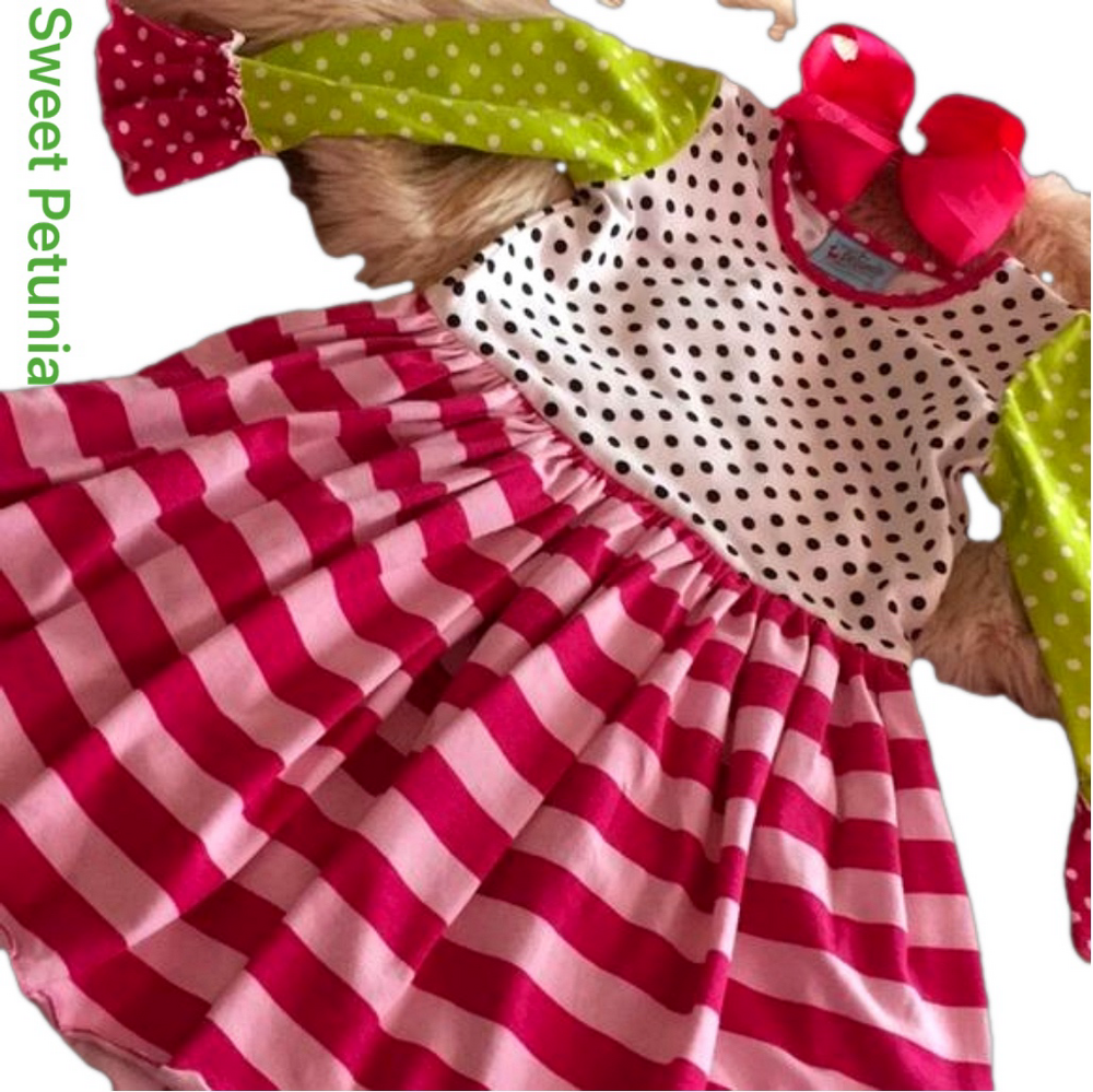 🦌 Sweet Petunia clothing dress GUC size 4🦌💕
